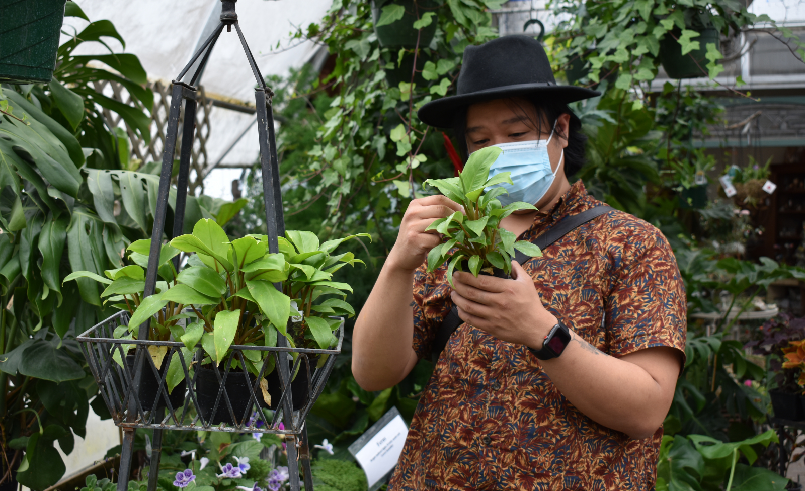 Armando Villa-Ignacio shopping for plants