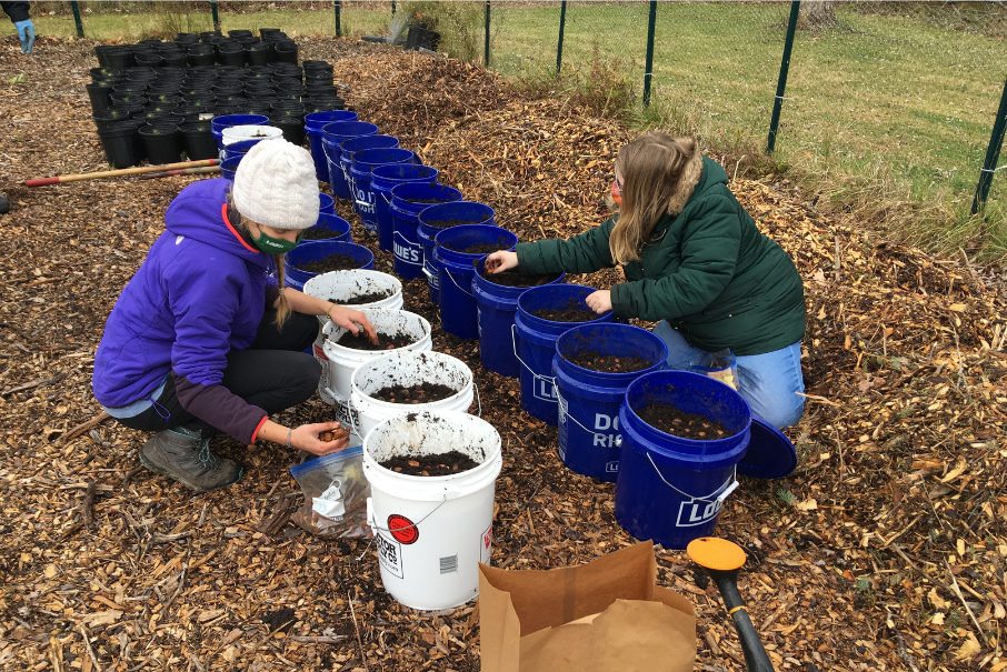 People working in garden