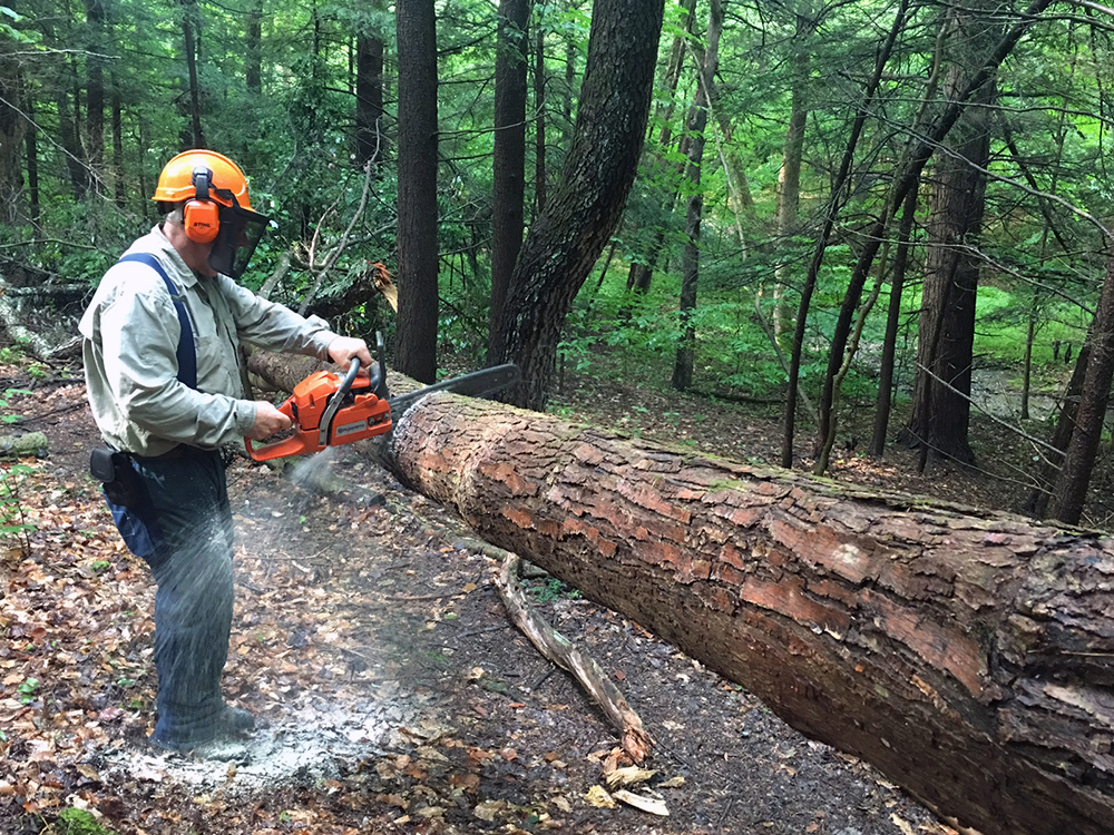 trail maintenance