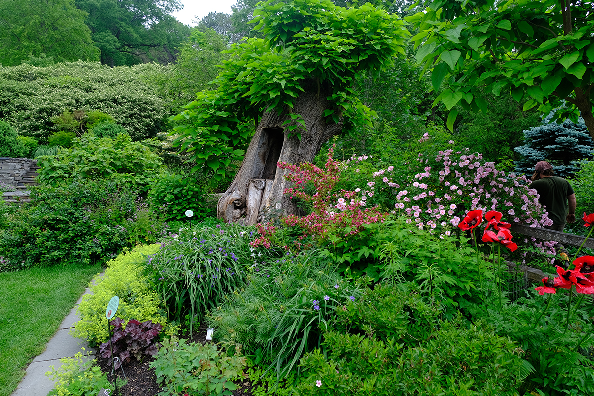 ithaca botanical gardens