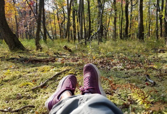 Resting in the forest