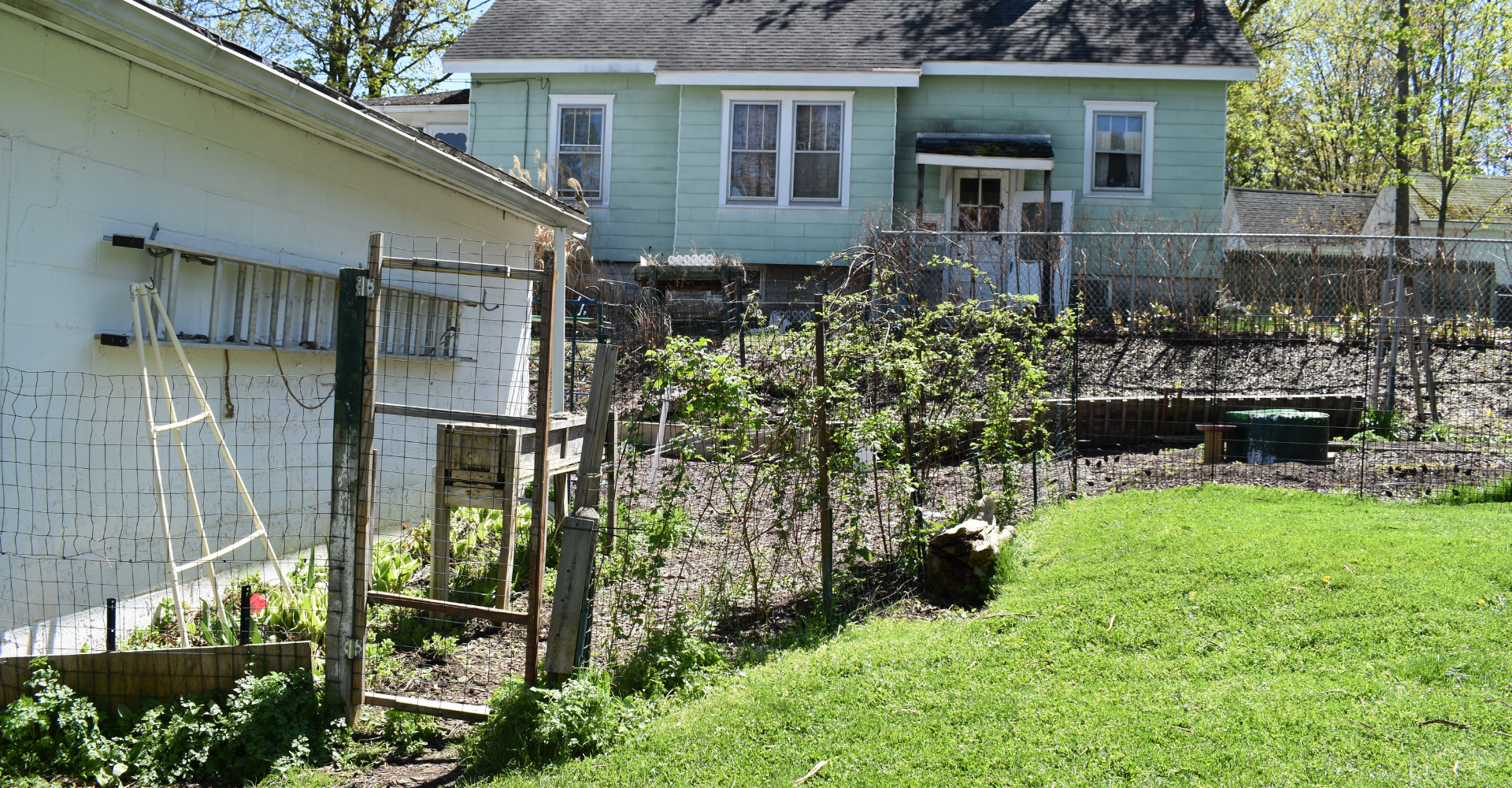 backyard garden