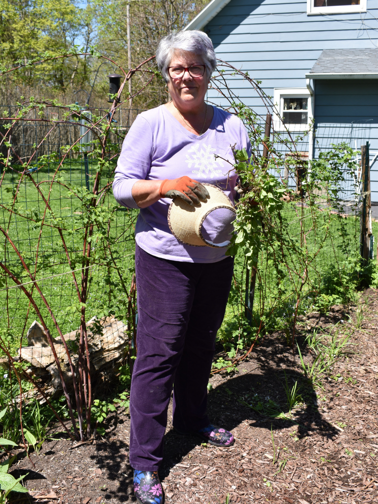 jane woodman gardening