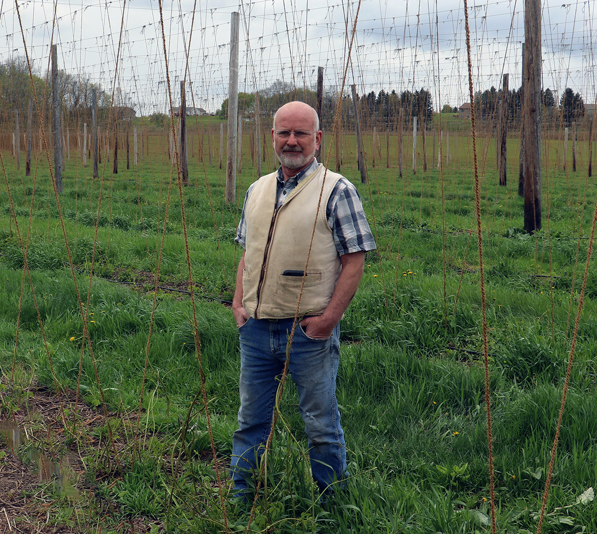 hops hunter in a field