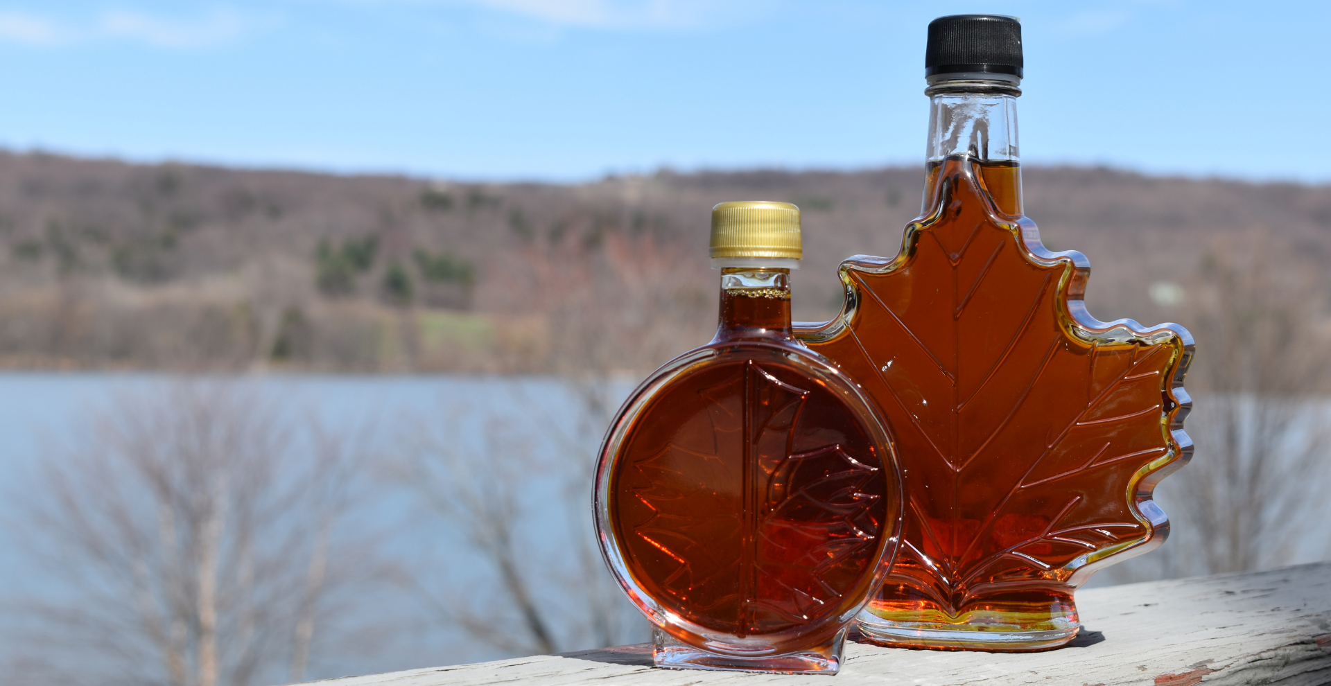 maple syrup